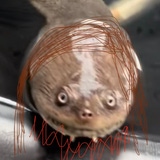 DR0CK9's Avatar'